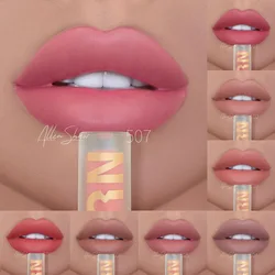 Wholesale Lipgloss Lipstick Allen Shaw Matte Lip Gloss No Stain on Cup European and American Lip Gloss Lip Gloss Bulk Liptint