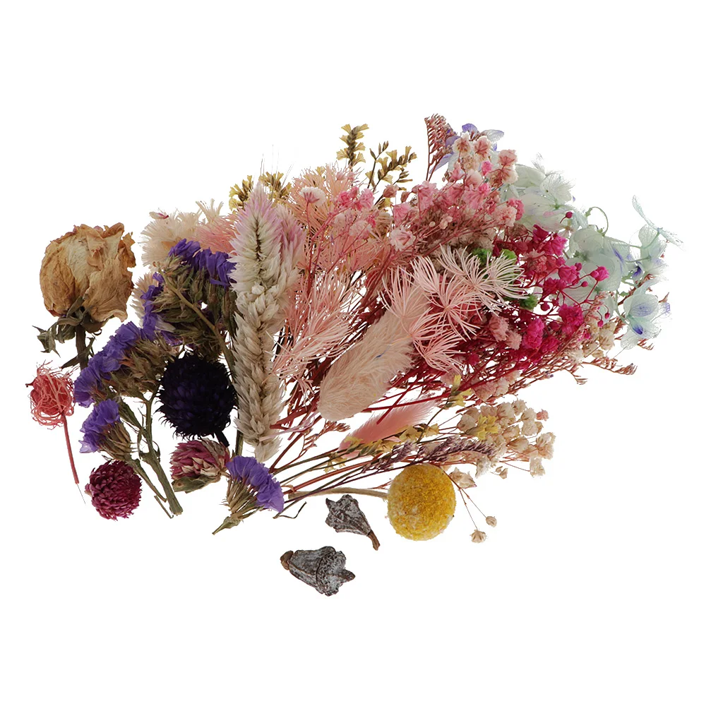 1Box Pressed Leaves Natural Dried Flowers Scrapbooking Card Making