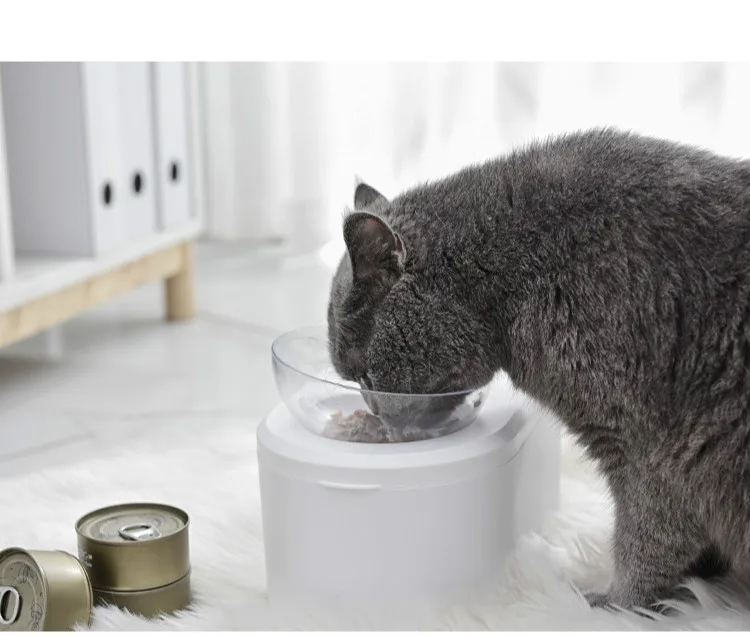 Повышенная миска для кошек с подставкой, без стресса, прозрачная наклонная приподнятая миска для кормления домашних животных для кошек и маленьких собак, пищевой материал