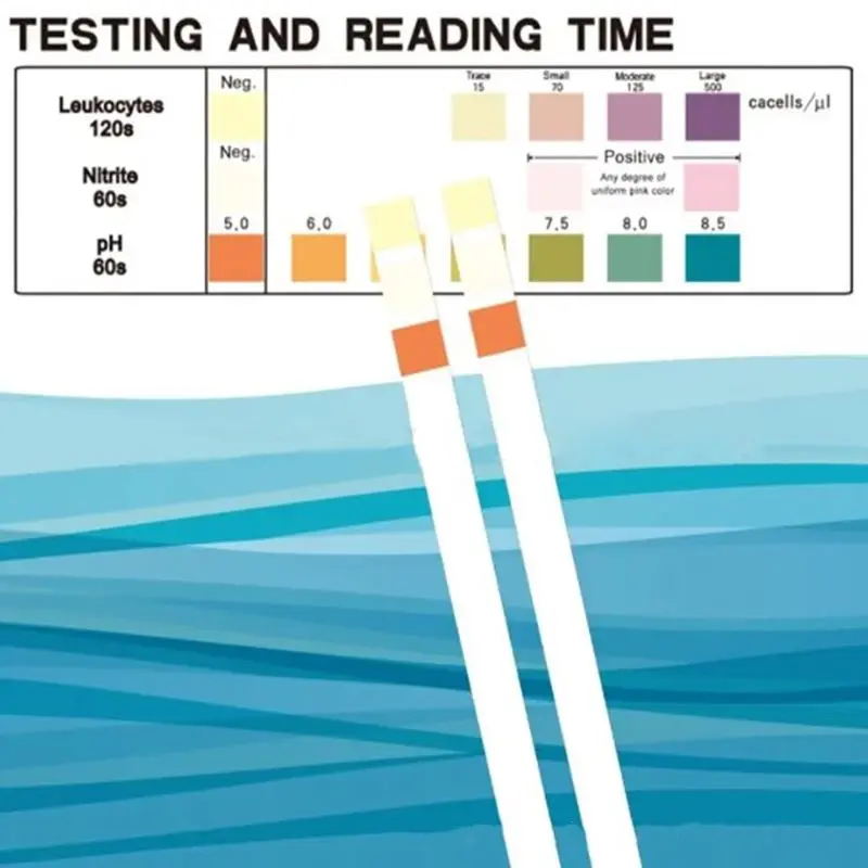 100 полосок тест-полоски для мочи лейкоцитов нитрит pH анти-VC реагент полоски тест мочи er анти-VC помехи способность