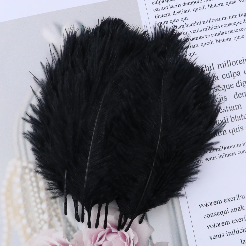 TS0105014 5-10cm black ostrich feathers 2