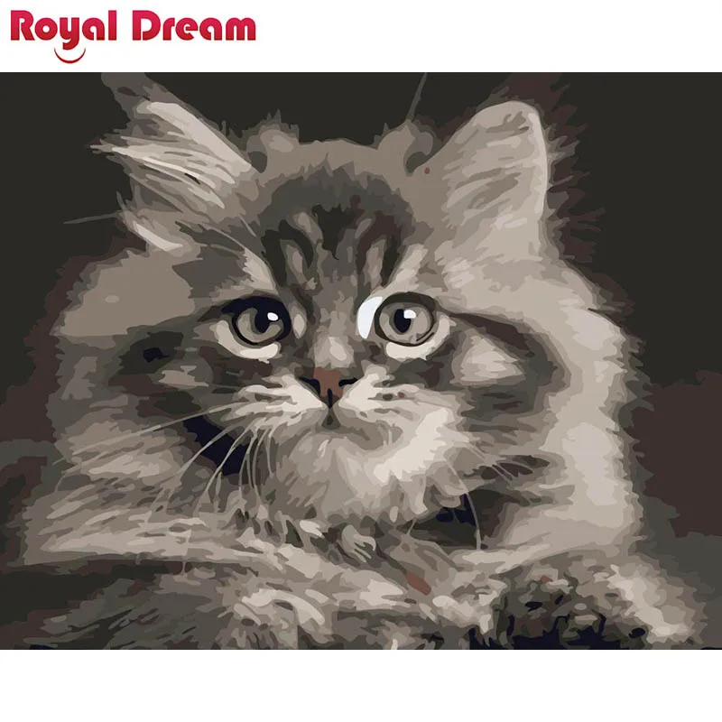 Take the cat DIY Краска ing комплекты номеров картина по номерам современные настенные