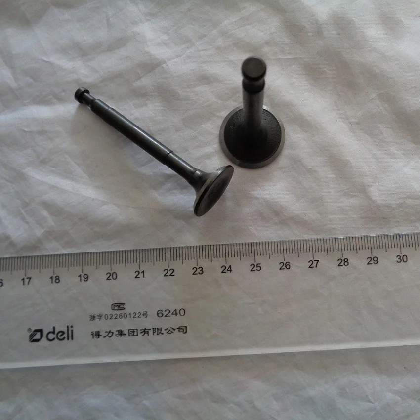 

152F 1KW 2.5HP Generator Engine Intake and Exhaust Valve