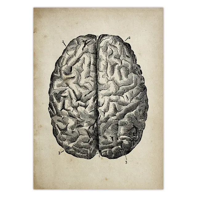 Human Anatomy Medical Anatomy Science Vintage Posters Art Print Medical  Doctor Clinic Wall Decor Pictures Kraft pape