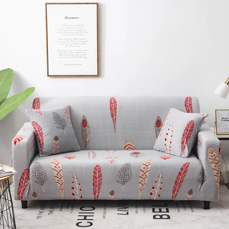 12980847752_2088999885