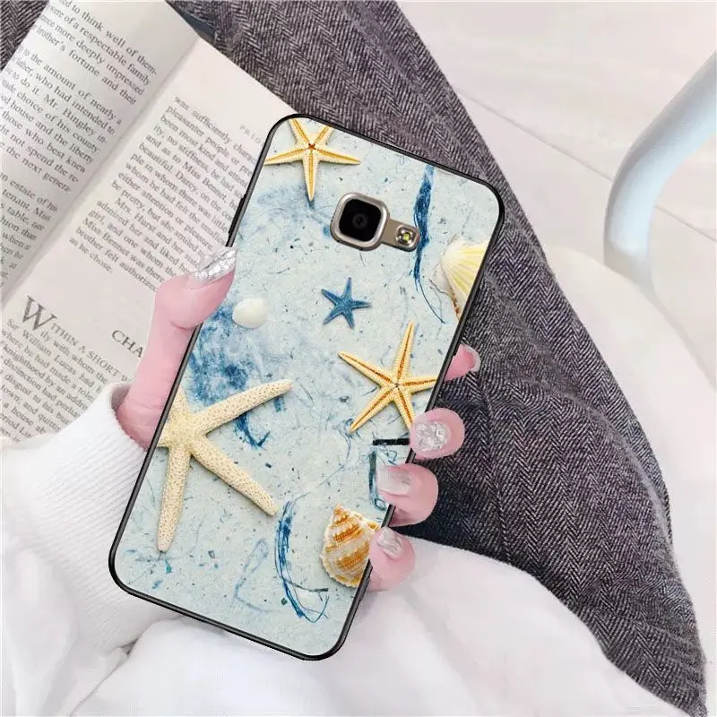 beach starfish blue sky