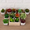 High Quality Artificial Mini Plants Vivid Succulents Plants Fake Flowers Lotus Bonsai  Floral Crafts Home Decor Office Supplies ► Photo 2/6