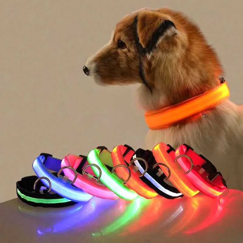 Rechargeable LED Pet dog Collar Night Safety Flashing Glow In The Dark Dog Leash Dogs Luminous Fluorescent Collars Supplies | Дом и сад