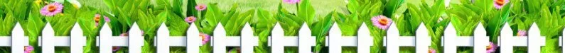 Горячая красная Сакура Флорес восточные вишневые растения бонсай растения для дома и сада- 100 шт/ба