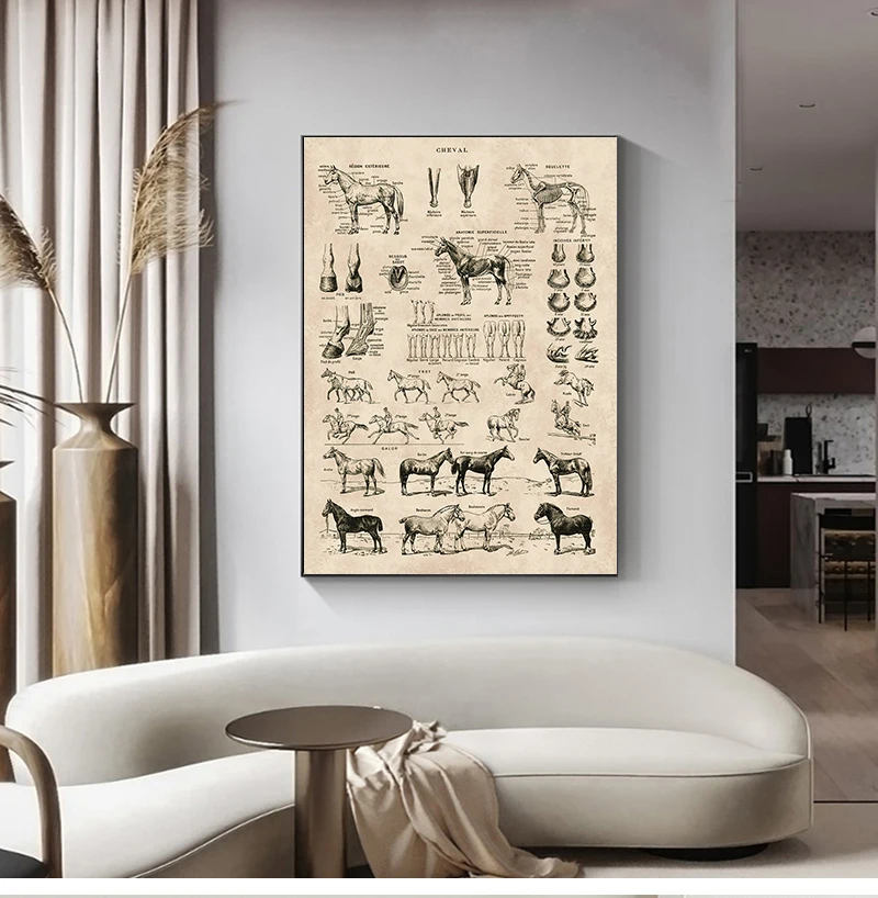 Prints Biology Wall Art Decor , Horse Illustration Animal Poster Canvas Painting Office Decor Vintage French Horse Anatomy Chart