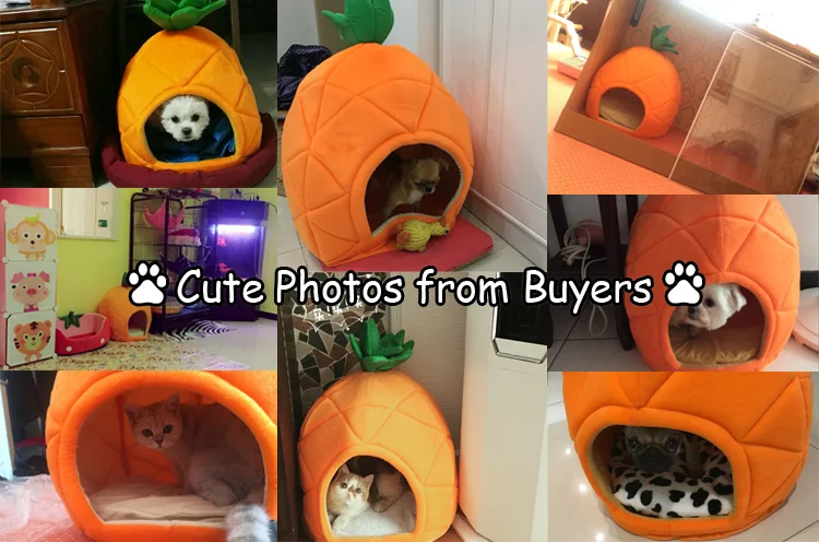 Creative Cute Pineapple Pet House Sleep Basket Cat Puppy Dog Bed for Small Dogs Litter Lounger Foldable Kennel Sofa Niche Cave