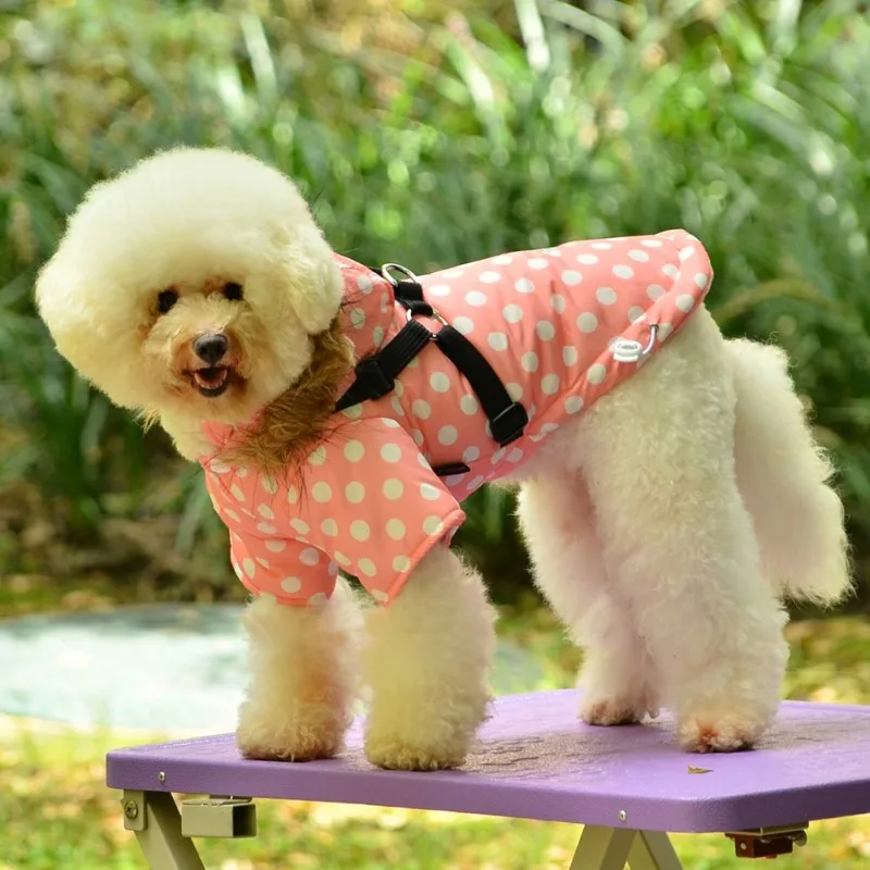 Зимнее теплое пальто с принтом собачьей лапы, модная одежда, пальто, куртки, толстовки, одежда для домашних животных