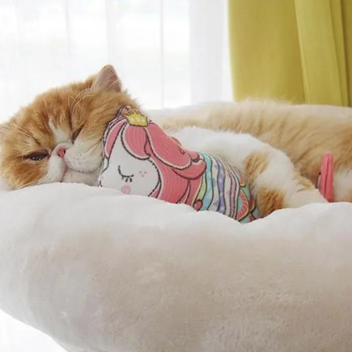 Кошачья кошка игрушка кошка Жевательная Рыба Форма Кукла зубы шлифовальная Подушка товары для животных FP8