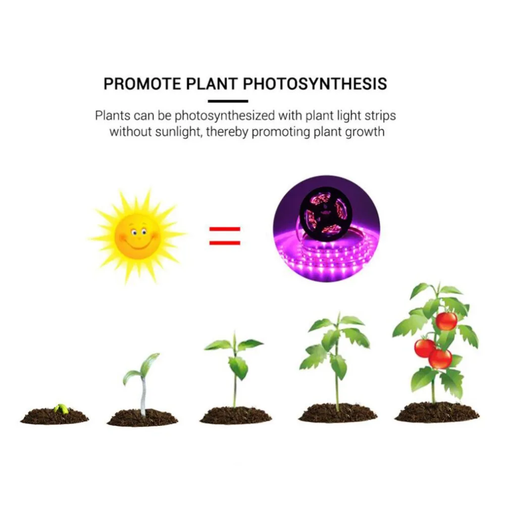 43255bfaaa03cea04c329b85d66f5965