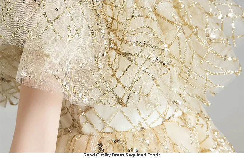 Children Girls Luxury Sequined Wedding Party Evening Birthday Princess Long Tail Dress Baby Kids Piano Pageants Ceremony Dress