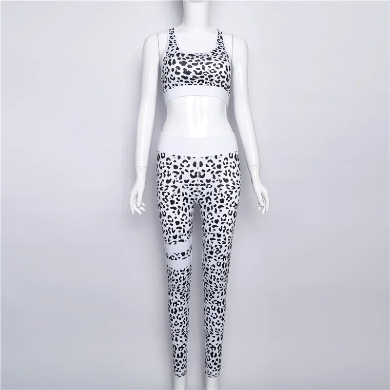 4401561994_1153469267