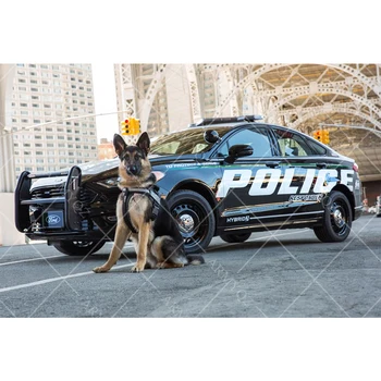 

Full Diamond Painting 5D DIY Diamond Painting Full Square/Round Drill "Police dog”Embroidery Cross Stitch Gift Home Decor Gift