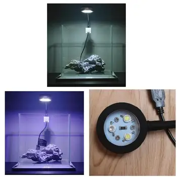 

Mini Fish Tank LED Clip Lamp Hight Bright Energy Saving Water Grass Light for Aquarium JS22