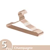 5PCS Champagne