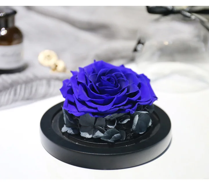 Love Everlasting flower vase Glass cover 07