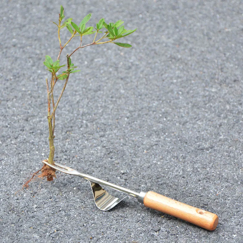 Wood Handle Stainless Steel Garden Weeder Hand Weeding Removal Cutter Dandelion Puller Tools Multifunction Weeder Transplant 6