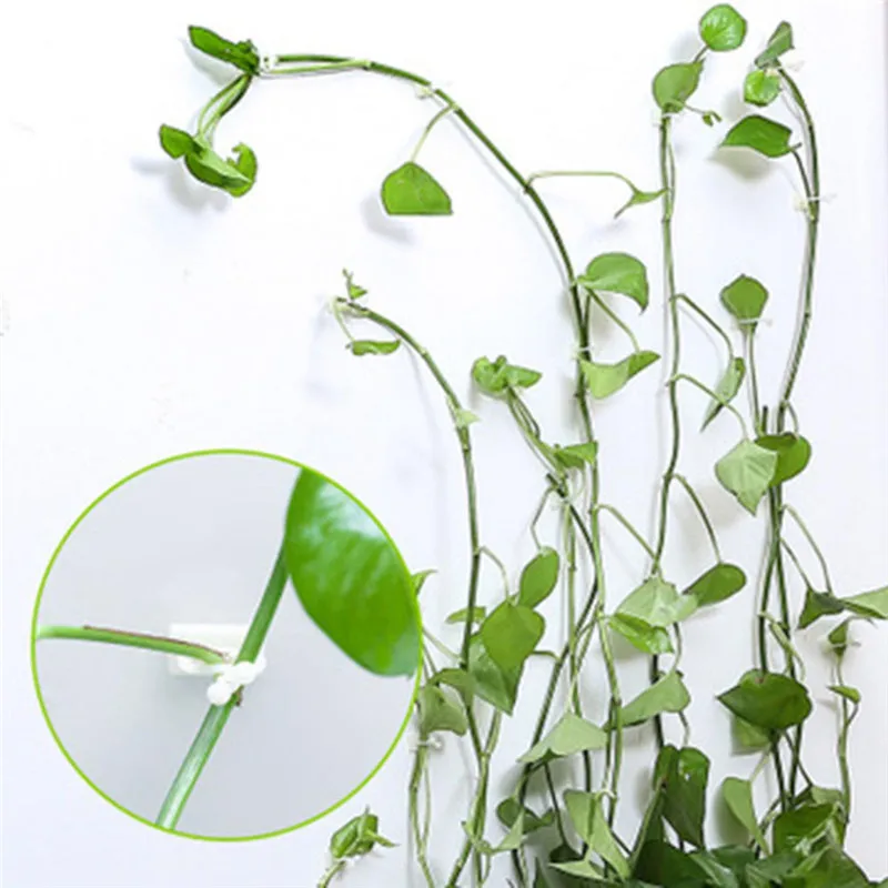

5Pcs/Set Invisible Wall Vines Fixture Paste No Trace Hook Garden Vegetable Plant Support Binding Clip Balcony Decoration Holder