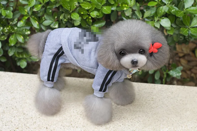 Dogbaby для домашних животных, одежда Одежда для собак кошек Одежда для питомцев фабрика международная торговля pet с четырьмя ногами на каждый день Wei Yi в осенне-зимний период