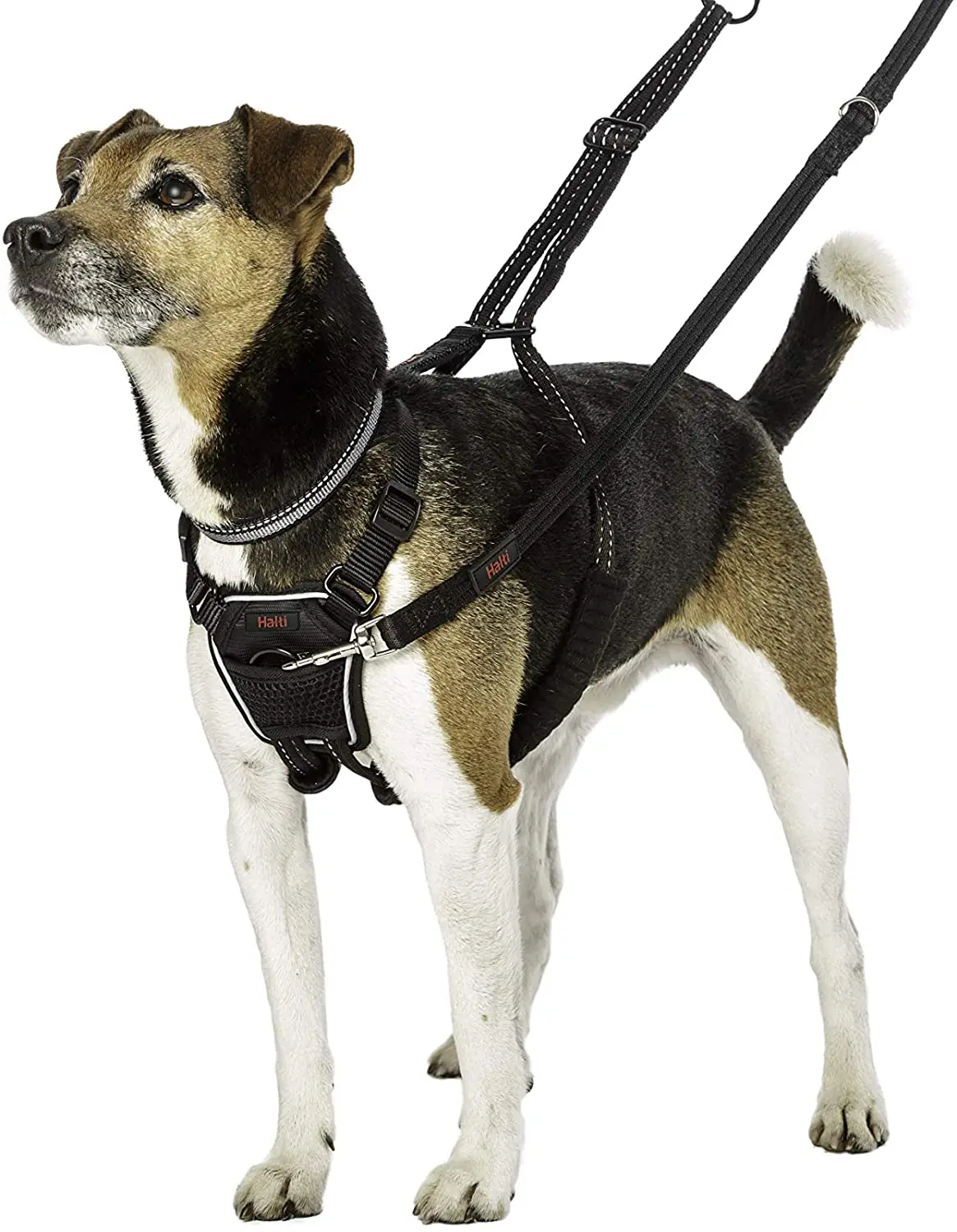 HALTI No Pull Harness Size Large, Bestselling Professional Dog Harness to  Stop Pulling on The Lead, Easy to Use, Anti-Pull Training Aid, Adjustable