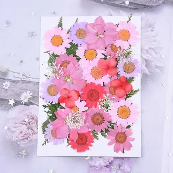 

small Dried Flowers Pressed Flowers DIY Preserved Flower Epoxy phone shell dry flower material Embossed face petal makeup