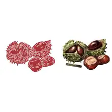 

Polished Die Set Metal Cutting Dies for DIY Scrapbooking Crafts Dies Cut Stencils Maker Photo Album Template Handmade Decoration