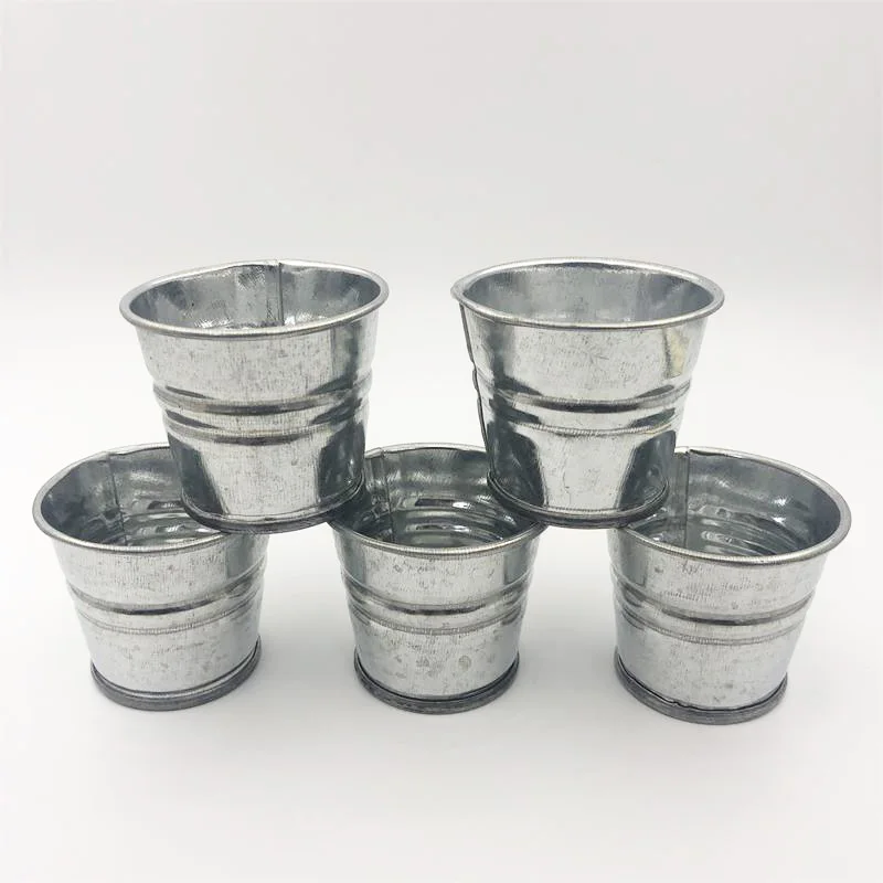 30Pcs/lot D5XH4CM Nostalgia Planting Pot galvanized metal bucket Mini