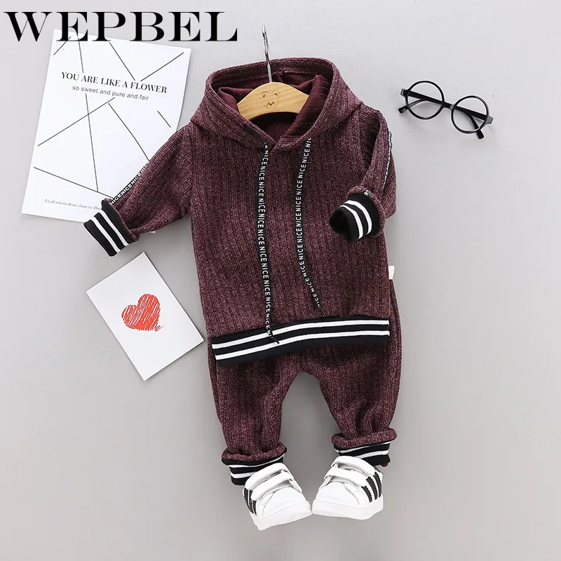 WEPBEL/комплект одежды для детей, Осень-зима, комплект одежды для маленьких мальчиков, толстовка с капюшоном+ штаны, комплект из 2 предметов детская одежда, костюм для мальчиков