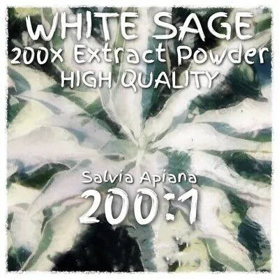 

White Sage (Salvia Apiana) 200x Extract Powder [5 Grams-10 Grams]