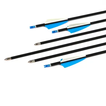 

6/12/24 pcs/lot 31 inches Spine 600 Fibre glass Arrow, compound and recurve bow arrow