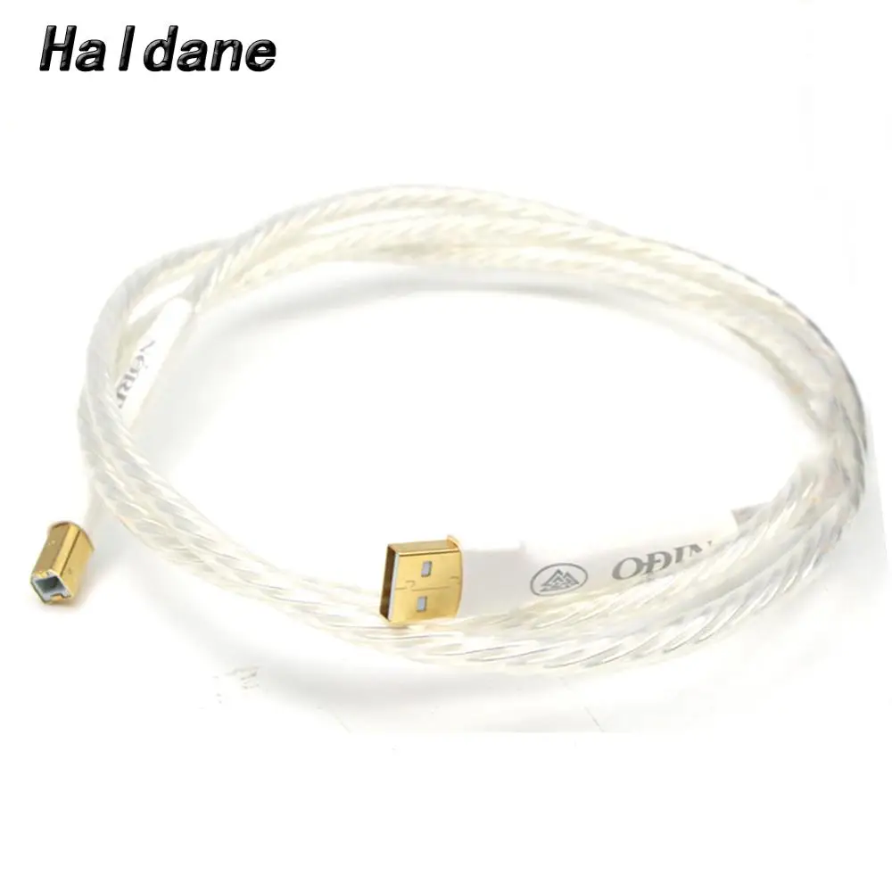 Холдейн одна штука Hi Fi Одина соединения USB B аудио кабель позолоченный Тип A и типа