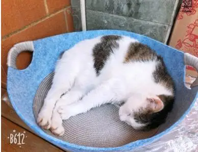 Войлочное гнездо для кошек все-в-одном домик для собак четыре сезона универсальный домик для кошек горшок