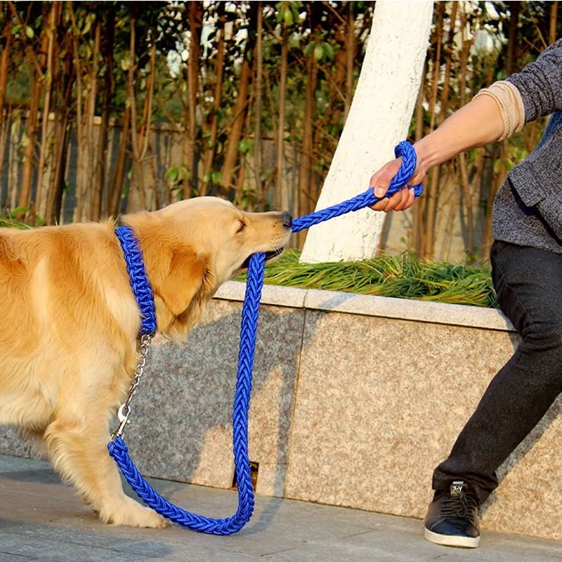 cão corda de treinamento de caminhada coleira para cães grandes S-XL