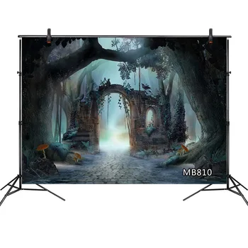 

Ancient Misty Dark Stone Gate Fairy Forest Landscape Scene Photography Backgrounds Photographic Backdrops Props For Photo Studio