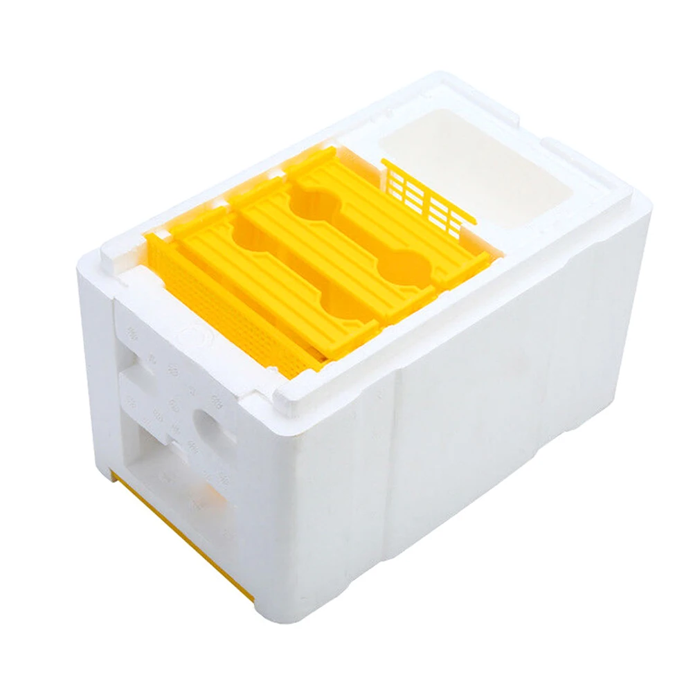 Bee Hive Beekeeping King Box Pollination Box Foam Frames Beekeeping Tool Kit for Farm Garden Beeworking Pollination