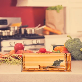 

Plastic Mouse Trap Catcher Cage Humane Live Rodent Small Kit Reusable Rat Mousetrap for Household Kitchen Protection