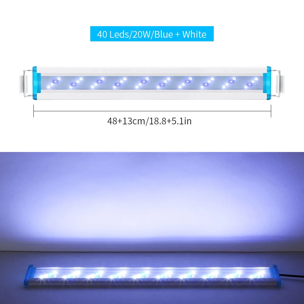 48cm Blue White