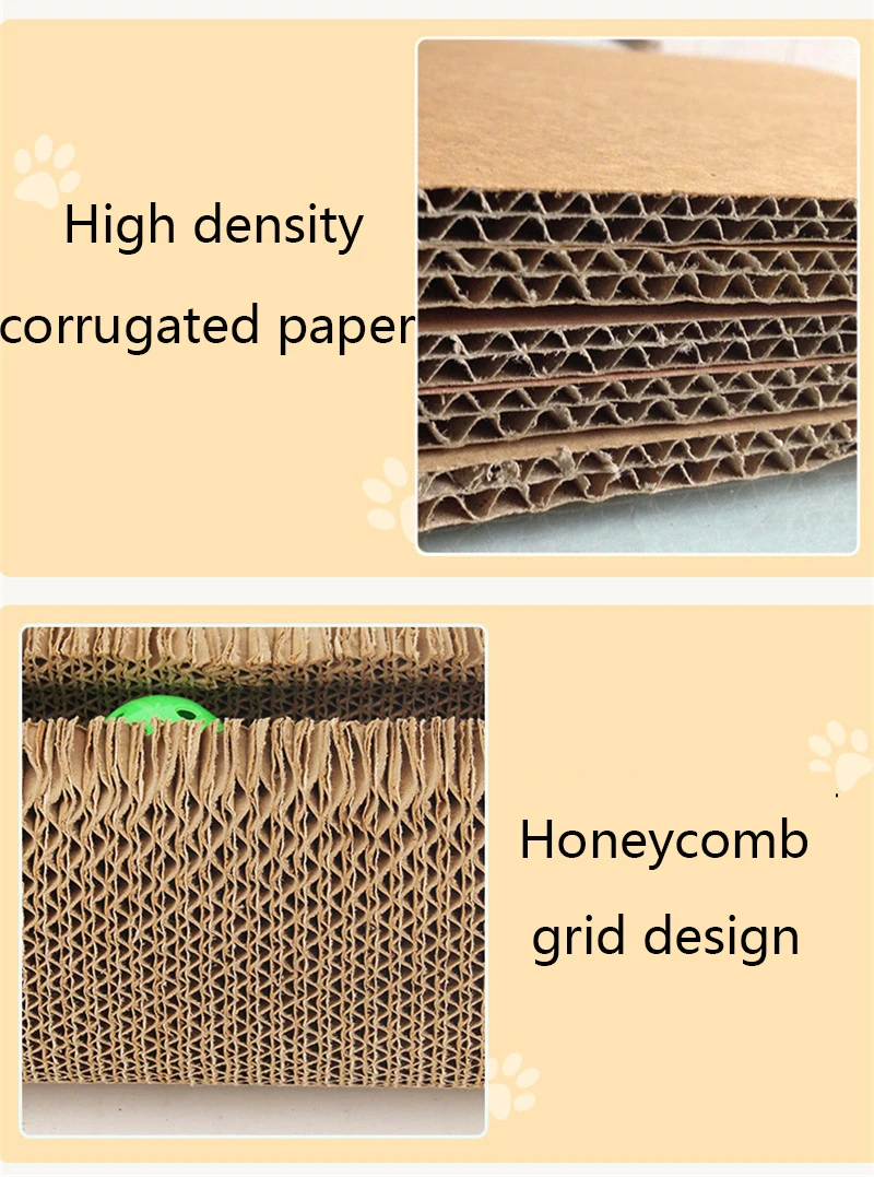 11853957480_609758398