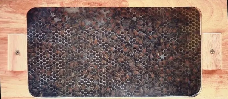 H39adffc9945146b5b699ad5ecf2d42e9F