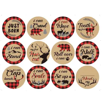 

For Memory Baby Pregnant Monthly Photograph Sticker Month 1-12 Milestone Sticker F3ME