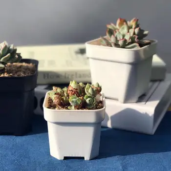 

1pcs Garden Mini Cactus Plant Home Office Plastic Square Colorful Flower Pots