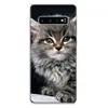 Mobile Phone Accessories