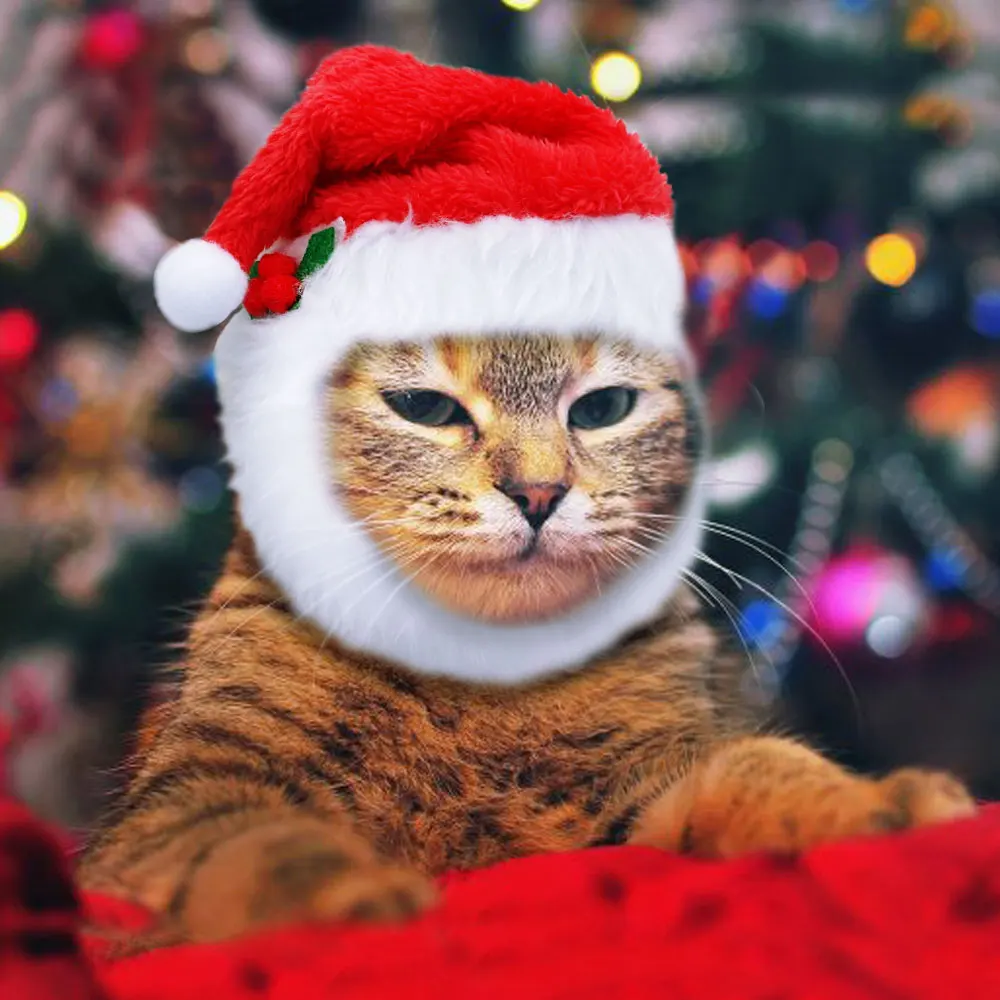 Кристины Собака Кошка костюм с головным убором собачьи Шляпы ожерелье с Колокольчик для домашнего питомца на Рождество фестиваль собака аксессуары