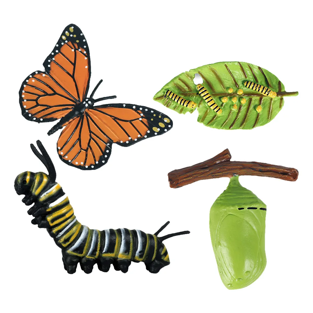 Plastic Insect Growth Stage Lifelike Butterfly Life Cycle Model Play Set for Children Education Insect Themed Party Favors