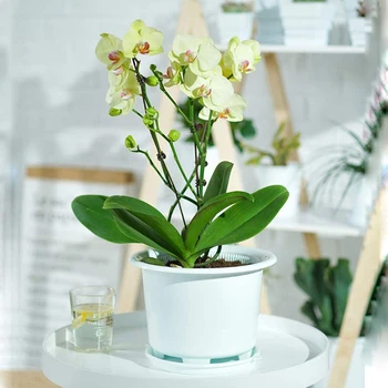 

Orchid Plant Pot with Holes Double Layer Container for Garden Flower Root Control XHC88