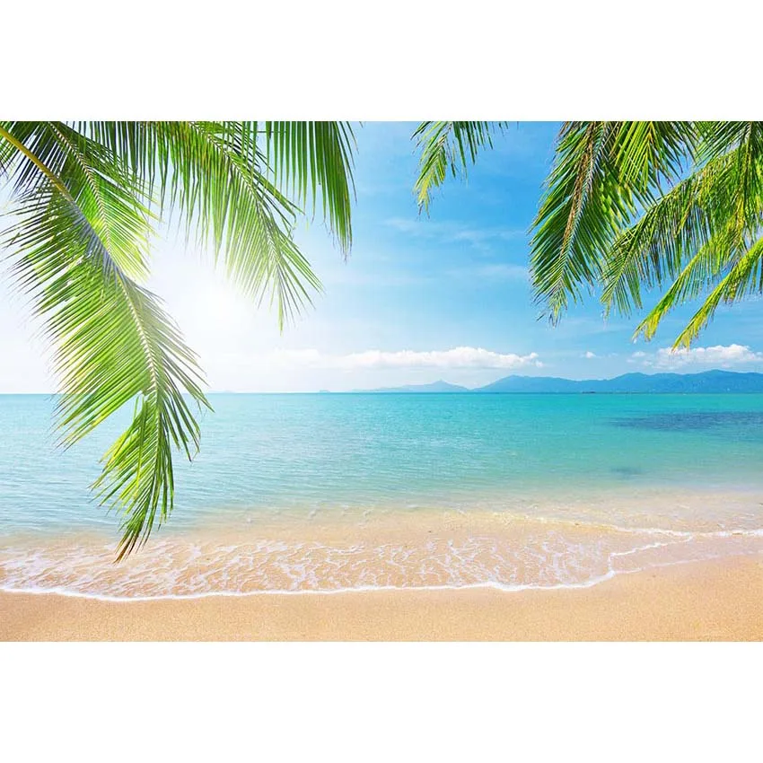 Tropical Beach and Sky Photography Backdrop